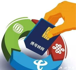携号转网教程 如何顺利办理，掌握921家营业厅操作全流程